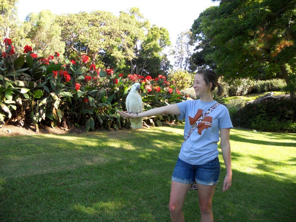 Holding a cockatoo in Australia