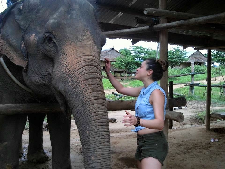 Madison petting an elephant