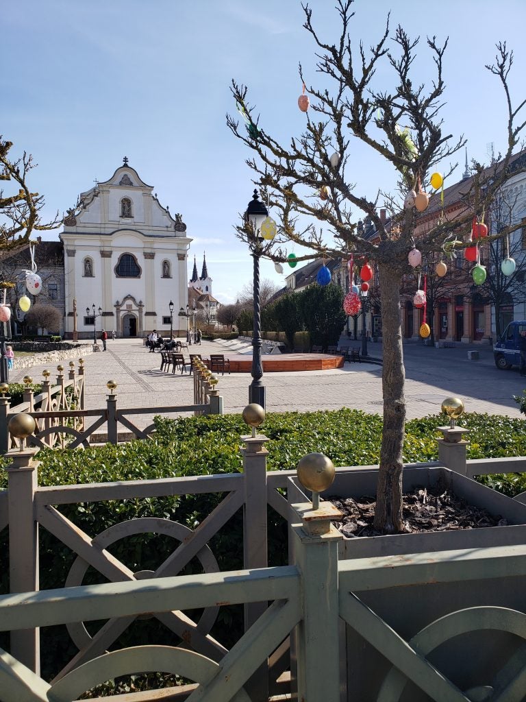 tree with colorful hangings near white building and fence during daytime