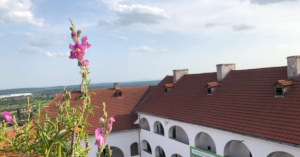 View from Palanok Castle on a sunny day, pink flower in foreground.