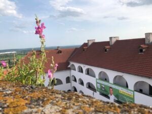 A white building on a sunny day, pink flower in foreground.