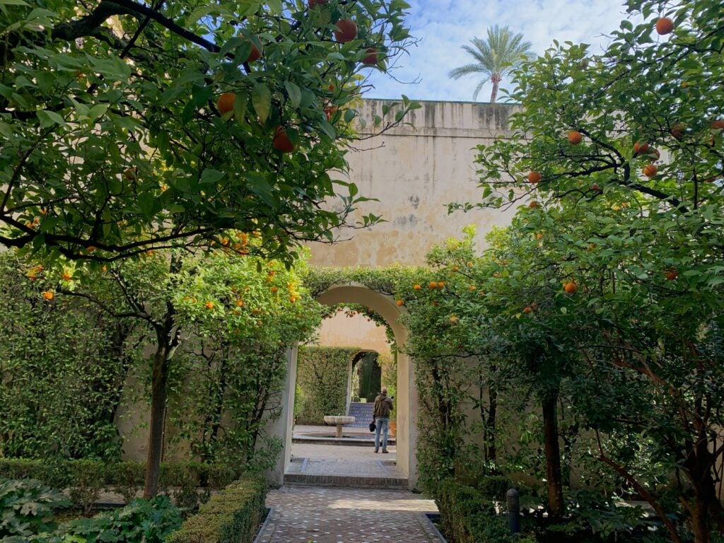 A peek in the Real Alcázar de Sevilla garden