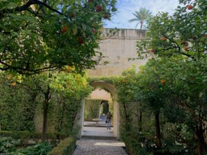 A peek in the Real Alcázar de Sevilla garden 