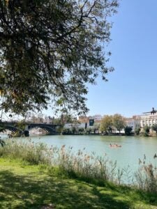 A picture of the Guadalquivir river