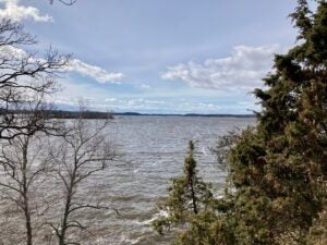 A picture f a lake framed by trees