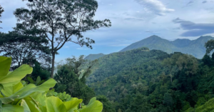 View of lush mountains and a lake from a hike in Guatemala