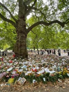 Flower bouquets rested against a tree in the park