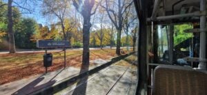 View of fall trees outside a metro window