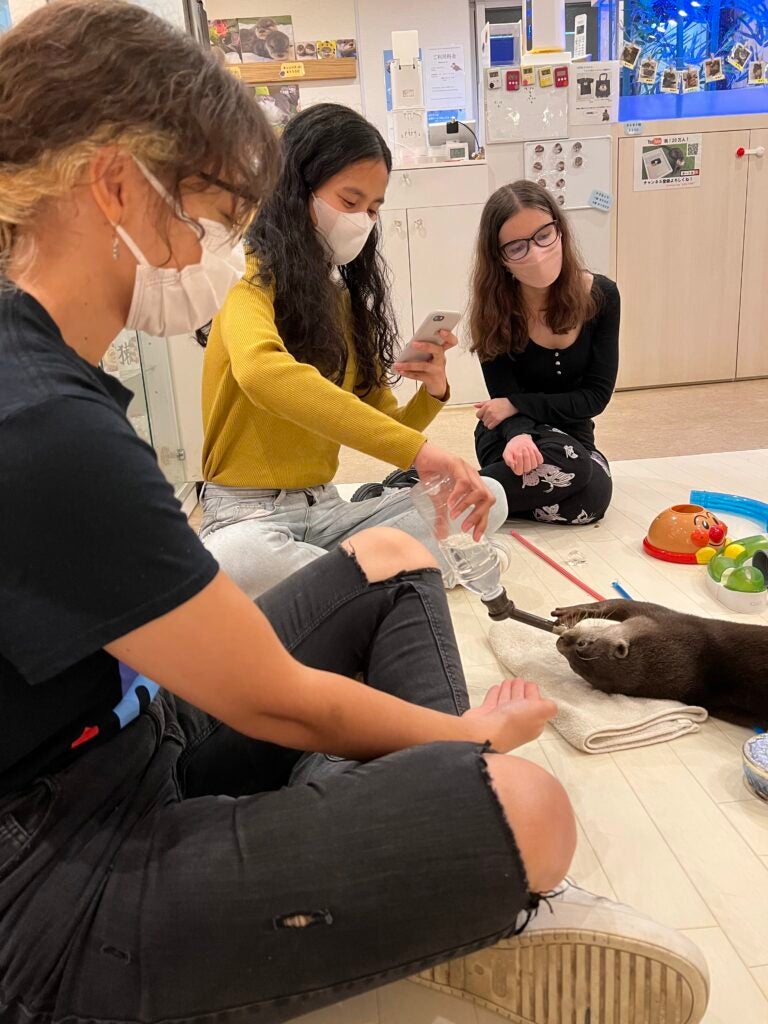 Three students play with an otter at a café