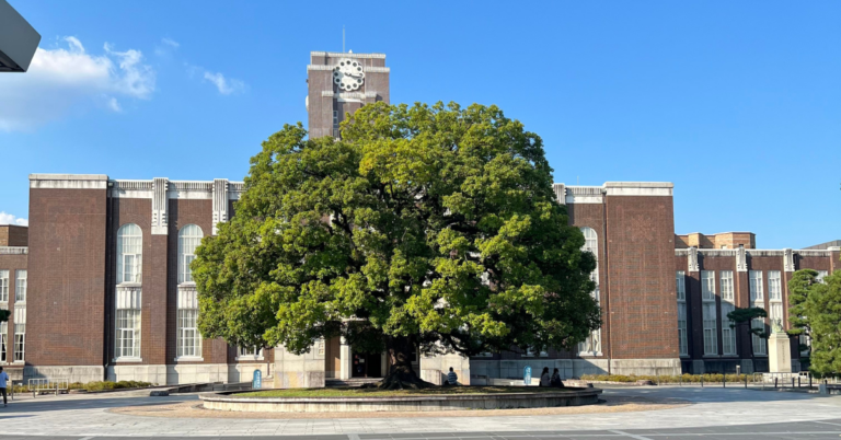 The symbolic camphor tree in front of the clock tower at Kyoto University