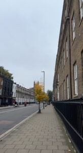 A street view of the path to the UCL Main Campus