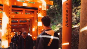 The vermilion torii of the Fushimi Inari Shrine in Kyoto