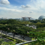 Landscape of Singapore with trees, clear blue skies, and structural building in the background