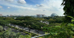 Landscape of Singapore with trees, clear blue skies, and structural building in the background