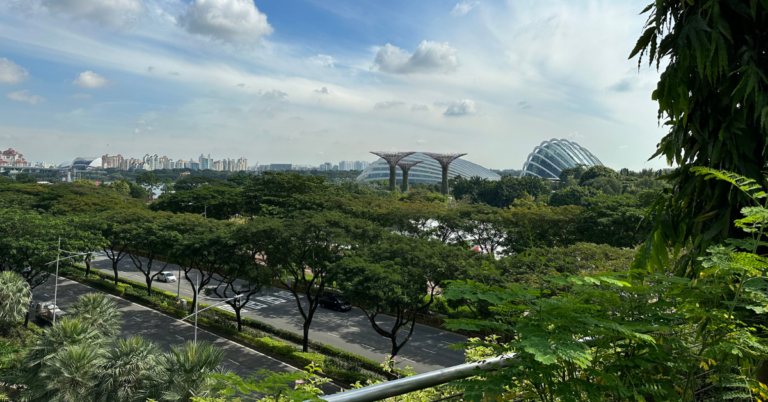 Landscape of Singapore with trees, clear blue skies, and structural building in the background