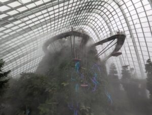 Large indoor nature park with a aerial viewing area above the indoor trees and foliage. 
