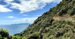 view of the New Zealand coastline featuring a lush green mountain with a clear blue sky and ocean stretching out in the distance