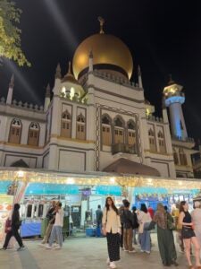 Student standing in front of a grand mosque with hands by her side against a dark night sky.