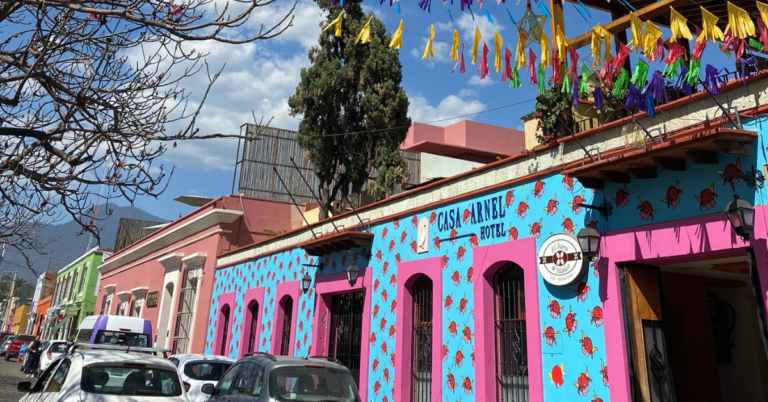 Bright building painted in blue and pink sits in the center of a neighborhood on a sunny day