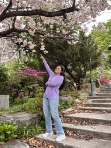 Girl wearing a purple sweater and blue jeans pointing to a tree of cherry blossoms