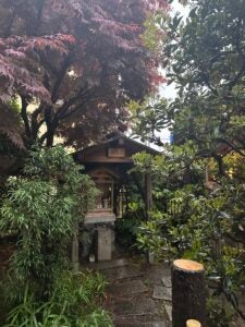 An old wooden, two-story house tucked in between lush greenery sits beneath tall trees.