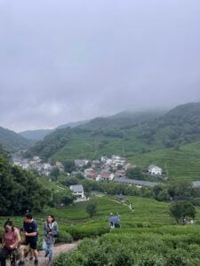 Aerial view of a village surrounded by green valleys and peaks.