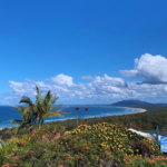 Partly cloudy skies on a blue, sunny day in Australia. A coastline is in the background as shrubs and greenery with pink, red, and yellow flowers are in the foreground.