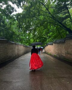 The back of a woman during their walk down a paved sidewalk with many trees lining the walkway. The woman wears a traditional Korean skirt and holds a black umbrella. 