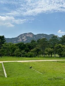 A large green mountain stands tall in the back of a green area with many trees and short grass.