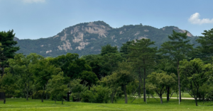 A large green mountain stands tall in the back of a green area with many trees and short grass.