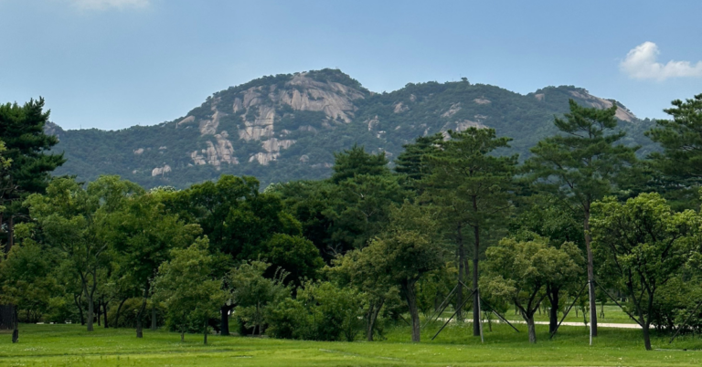 A large green mountain stands tall in the back of a green area with many trees and short grass.