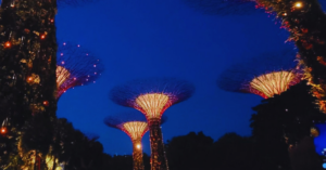 A night picture of large, ornate lanterns light up at night