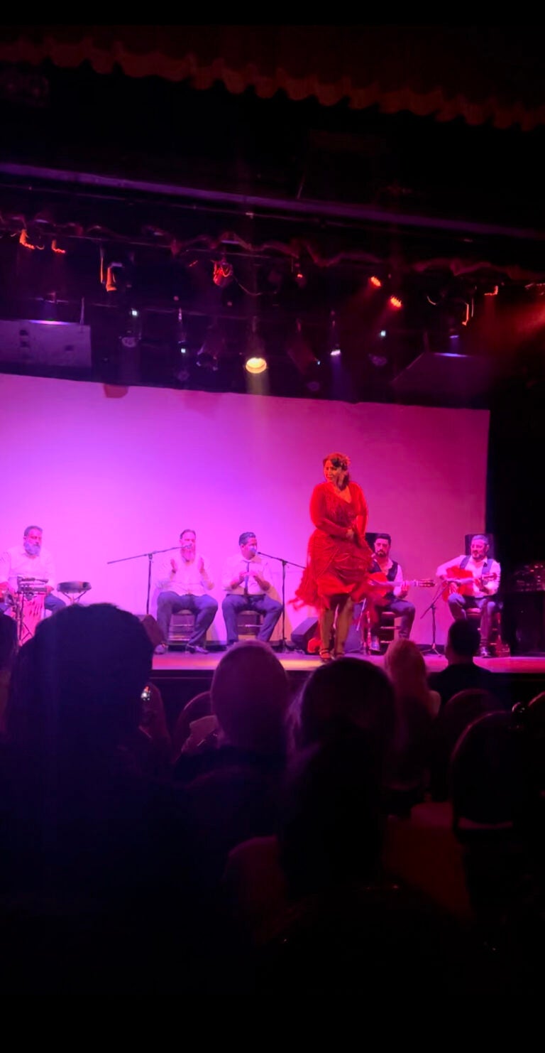 A flamenco show with a woman in red dances on stage against pink lights.