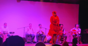 A flamenco show with a woman in red dances on stage against pink lights.