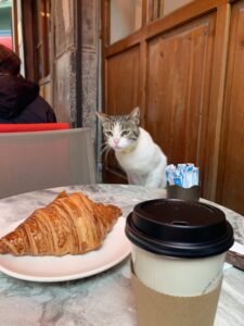 A white cat with grey ears overlooks a croissant and a hot cup of tea or coffee
