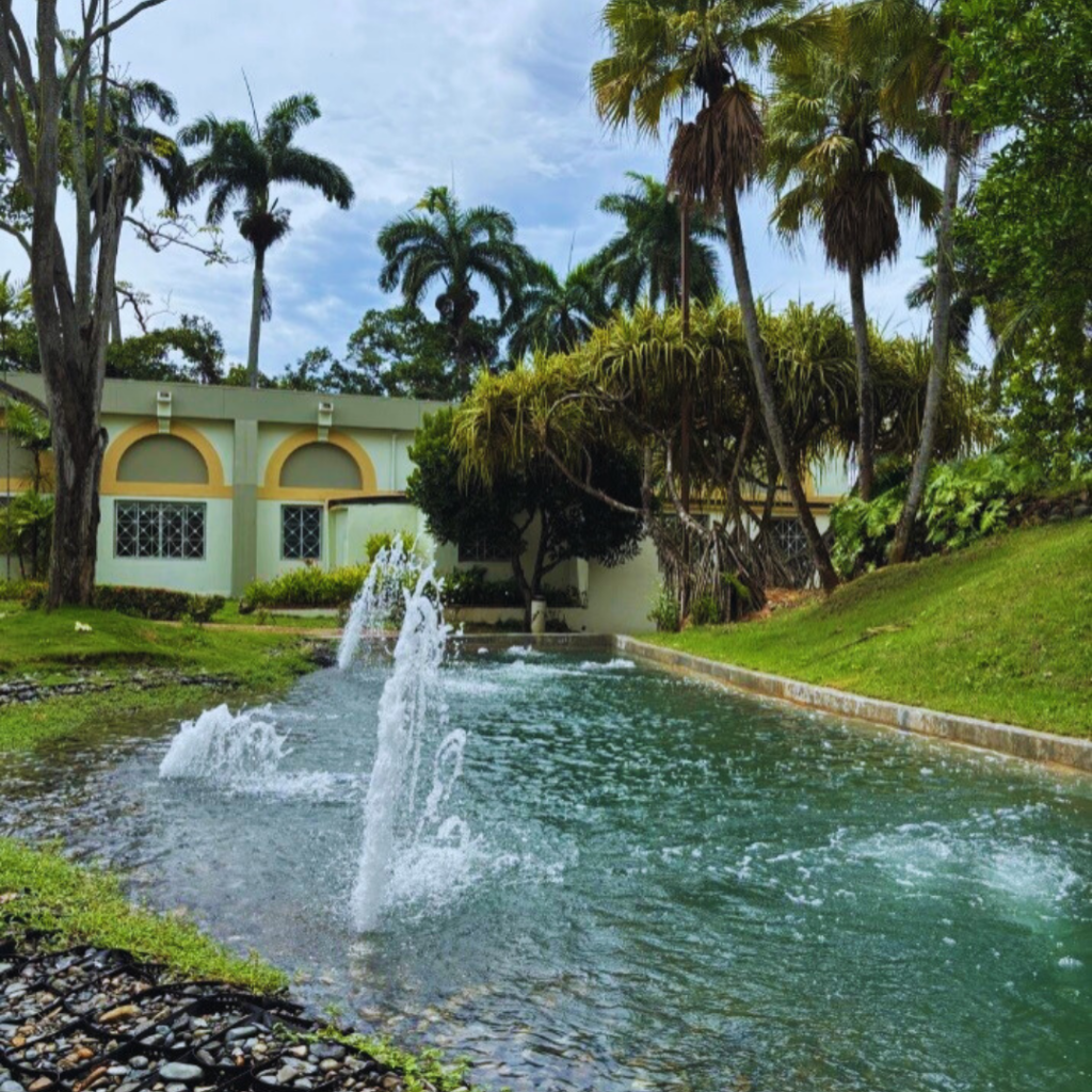 A house with a small pond and moving water.