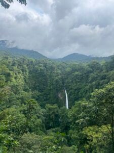 A large waterfall in view in the distance surrounded by many trees