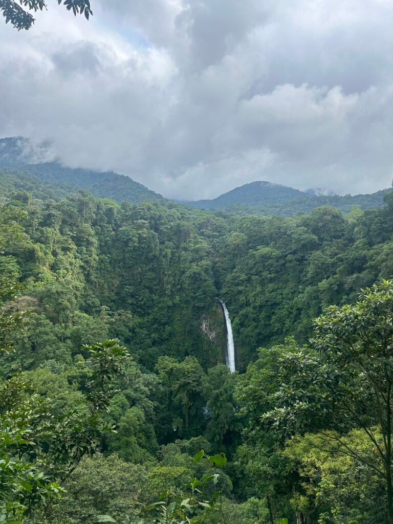 A large waterfall in view in the distance surrounded by many trees