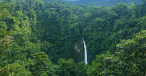 A large waterfall in view in the distance surrounded by many trees