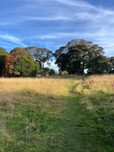 Admiring the open meadow in Craigmillar Castle Park