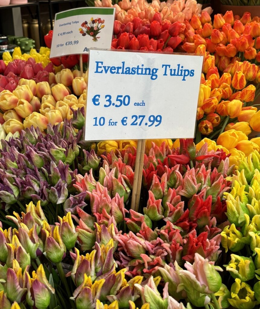 A stall at the flower market