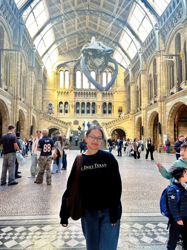 Natural History Museum, London