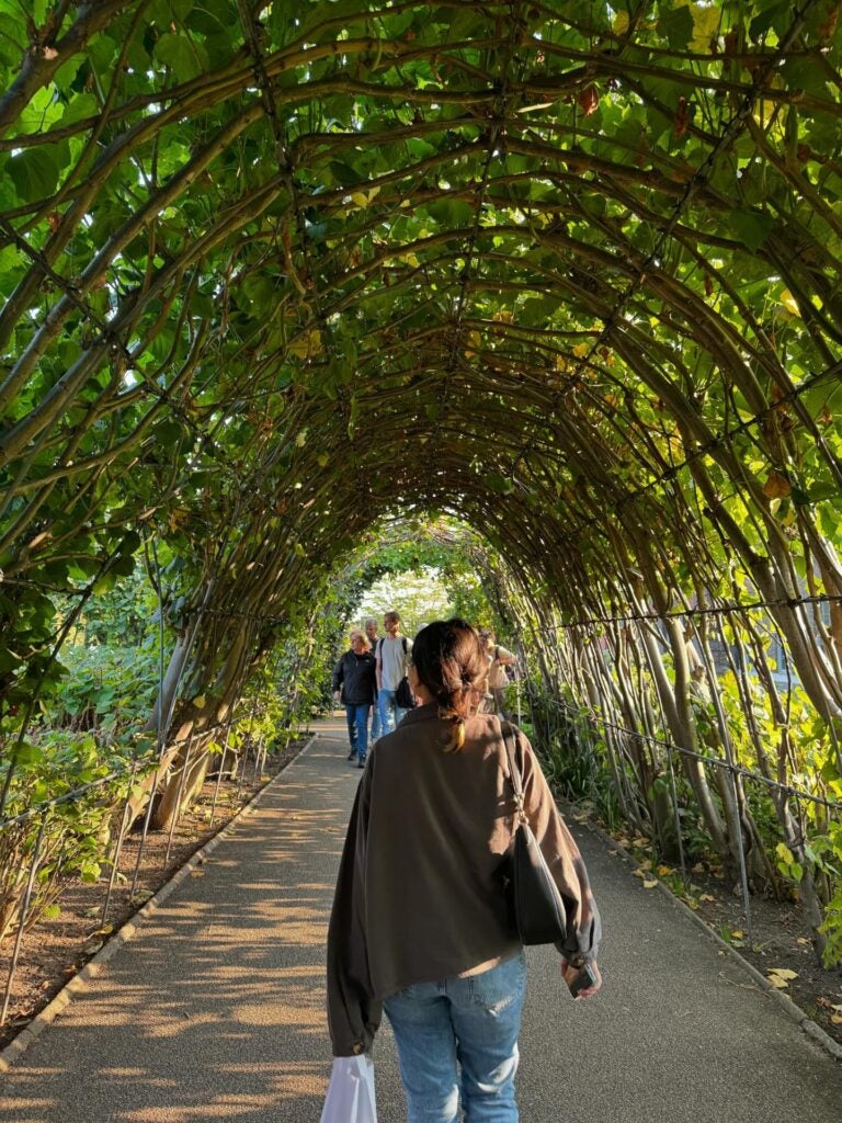 A beautiful stroll through Kensington Gardens