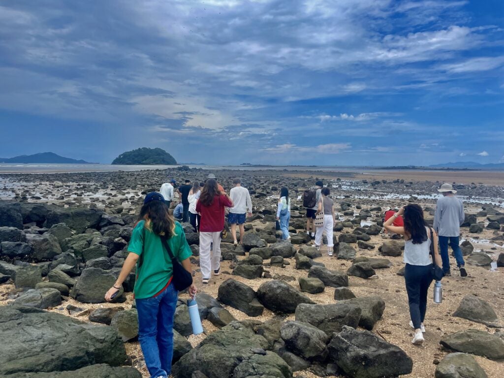 Rocky Shores