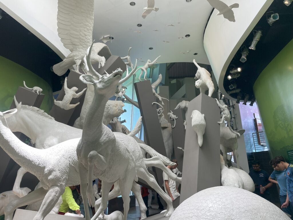 BIOMUSEO, a science museum