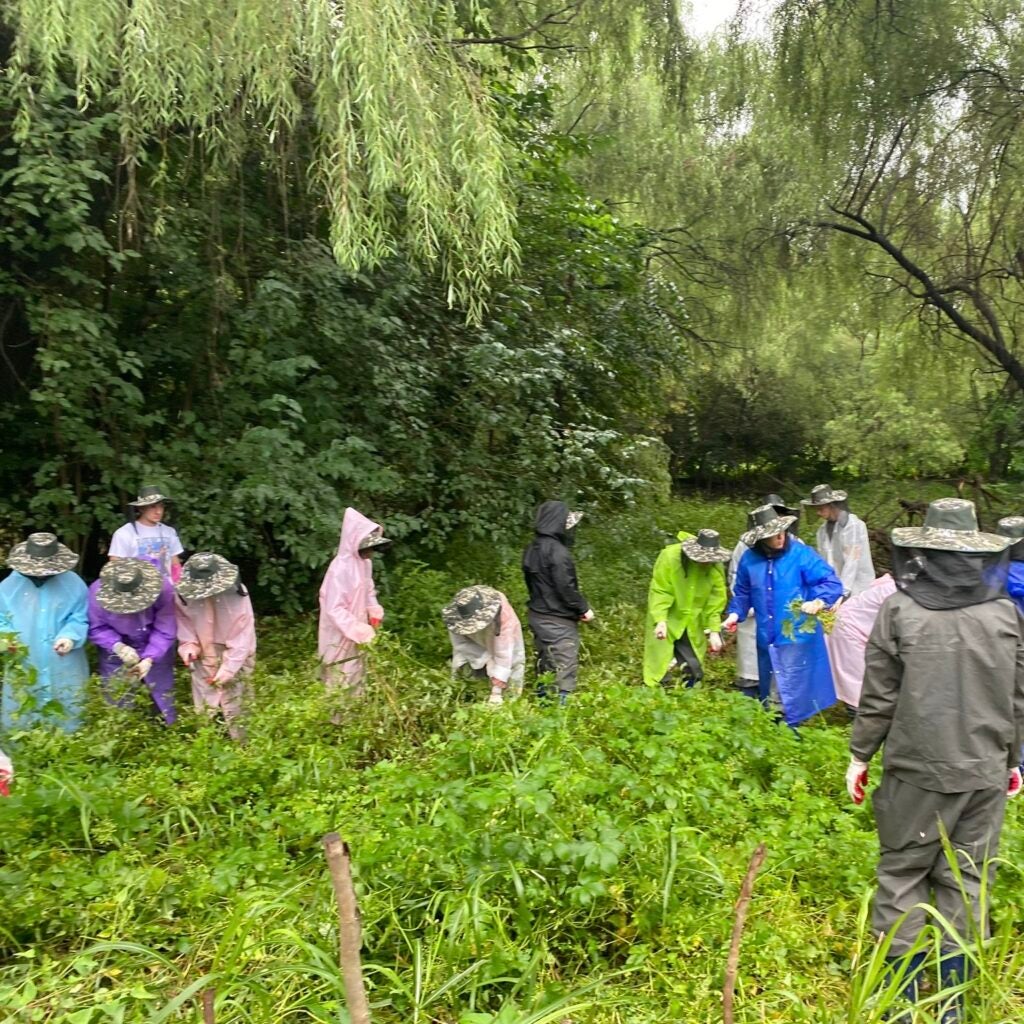 Working at Yeouido Saetgang Ecological Park