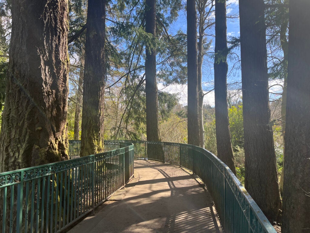 The elevated aerial tree walk at Leach Botanical Garden in Portland, Oregon.
