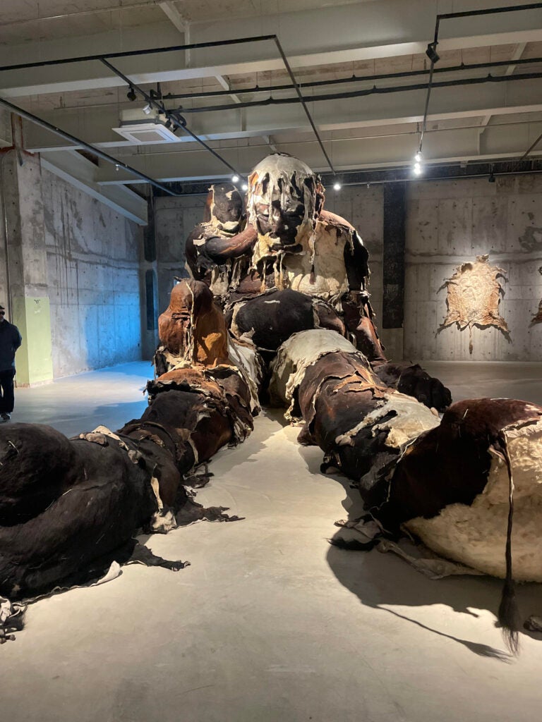 A giant man made of rags (left side of the photo shows size reference)