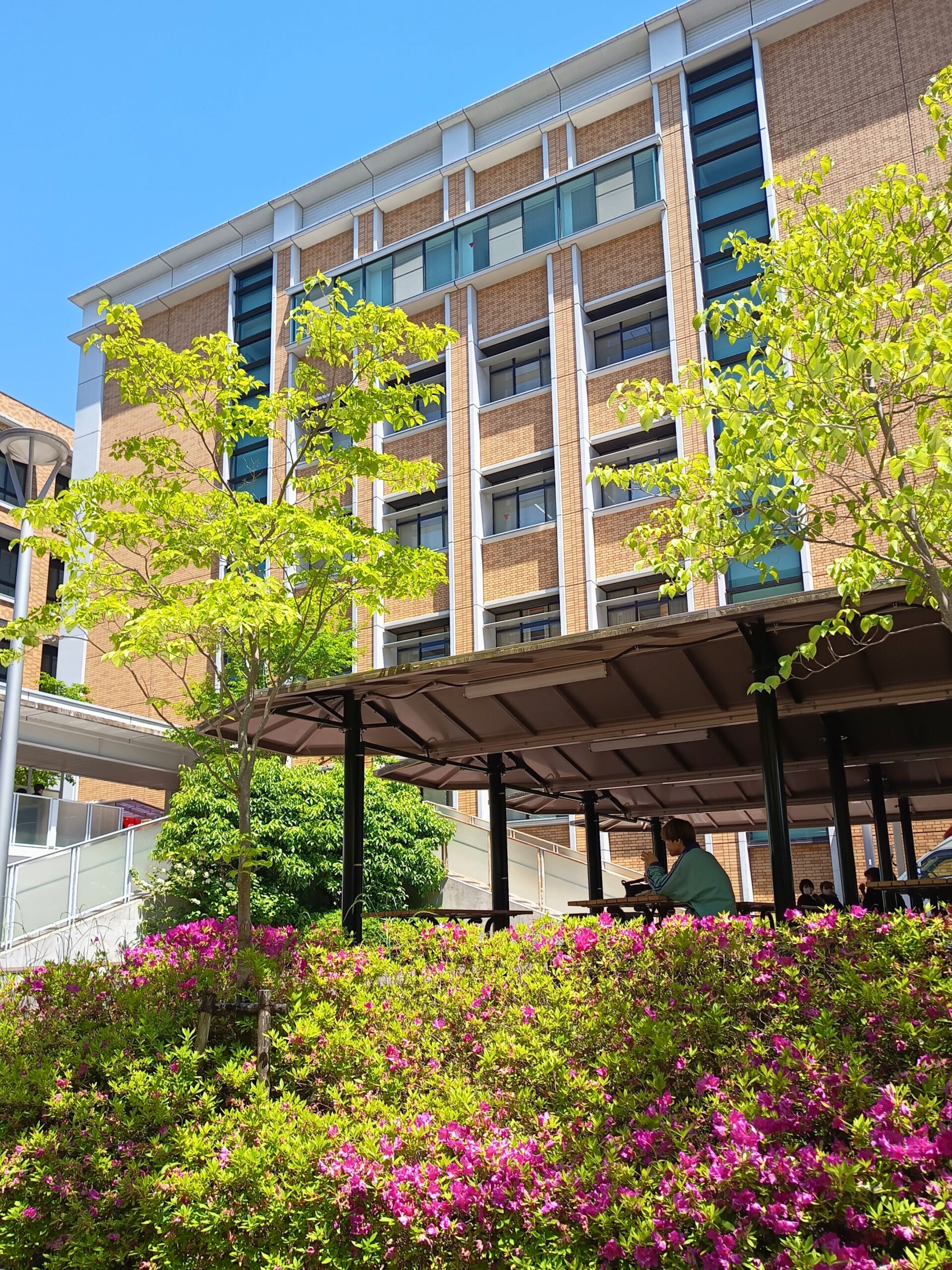 A picture of Tachibana University