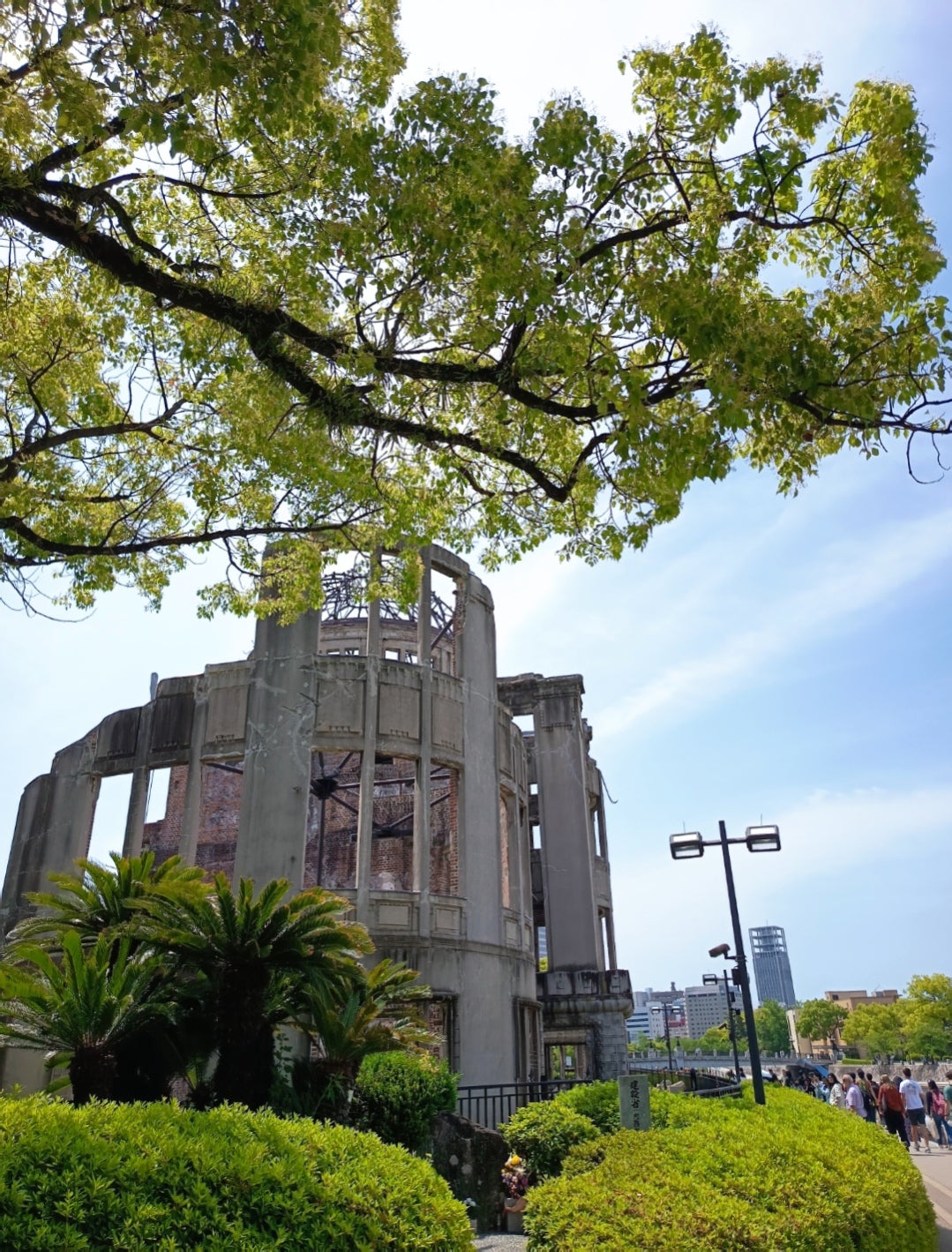 Tree and a ruined building